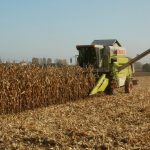 Projekt noweli ustawy o GMO w sejmie