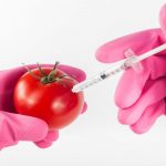 Nadzór nad żywnością GMO