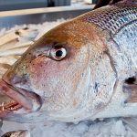 Targi Przetwórstwa i Produktów Rybnych – POLFISH