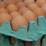 Salmonella ustępuje w Europie