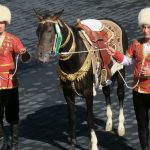 Konie achałtekińskie „skrzydła Turkmenów”