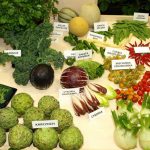Dni Zieleni Green Days 2017
