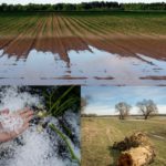 Niekorzystne warunki atmosferyczne – kolejne <br> szacunki strat