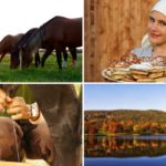 Atrakcyjna jesień – krótki wypoczynek!
