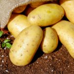 Komunikat – oznakowanie <br> ziemniaków innych <br> niż sadzeniaki