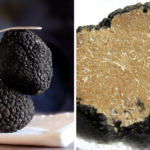 Włoskie trufle <br> coraz tańsze