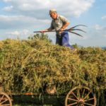 Roczna kwota graniczna za 2018 r.