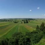 Plony mogą być niższe