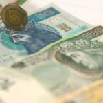 Płatności w zakresie dobrostanu zwierząt