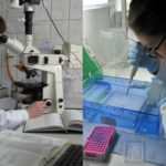 Centralne Laboratorium GIORiN spełnia wymagania akredytacyjne