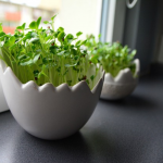 Z parapetu na talerz